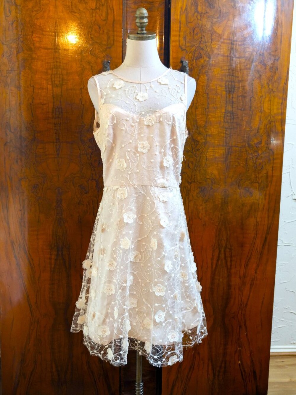 Taylor Champagne 3D Floral Sleeveless Fit & Flare Dress Size 10 Sequin Fairy